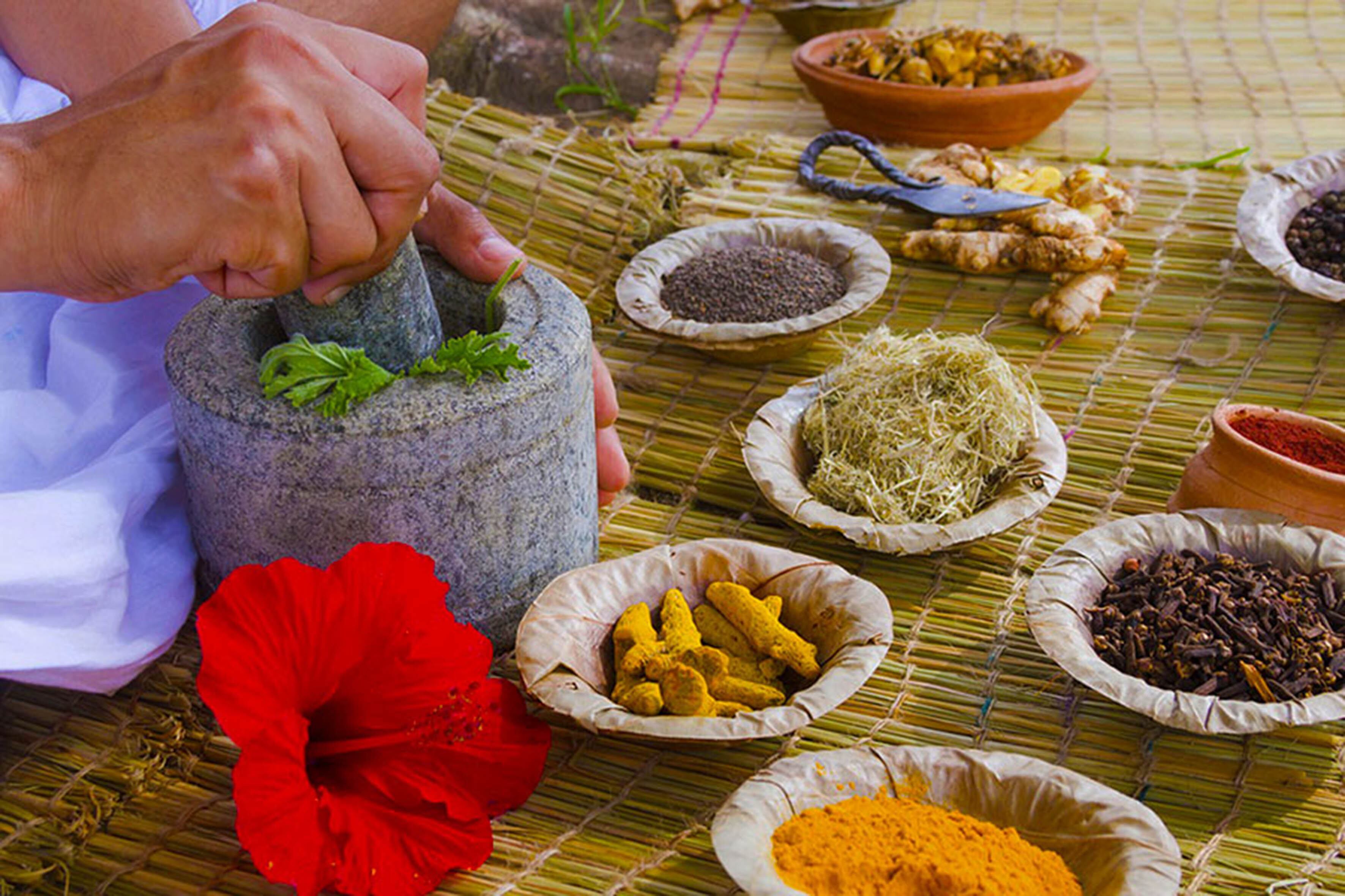 Cada zona tiene una vegetación autóctona que sirve a quienes allí habitan