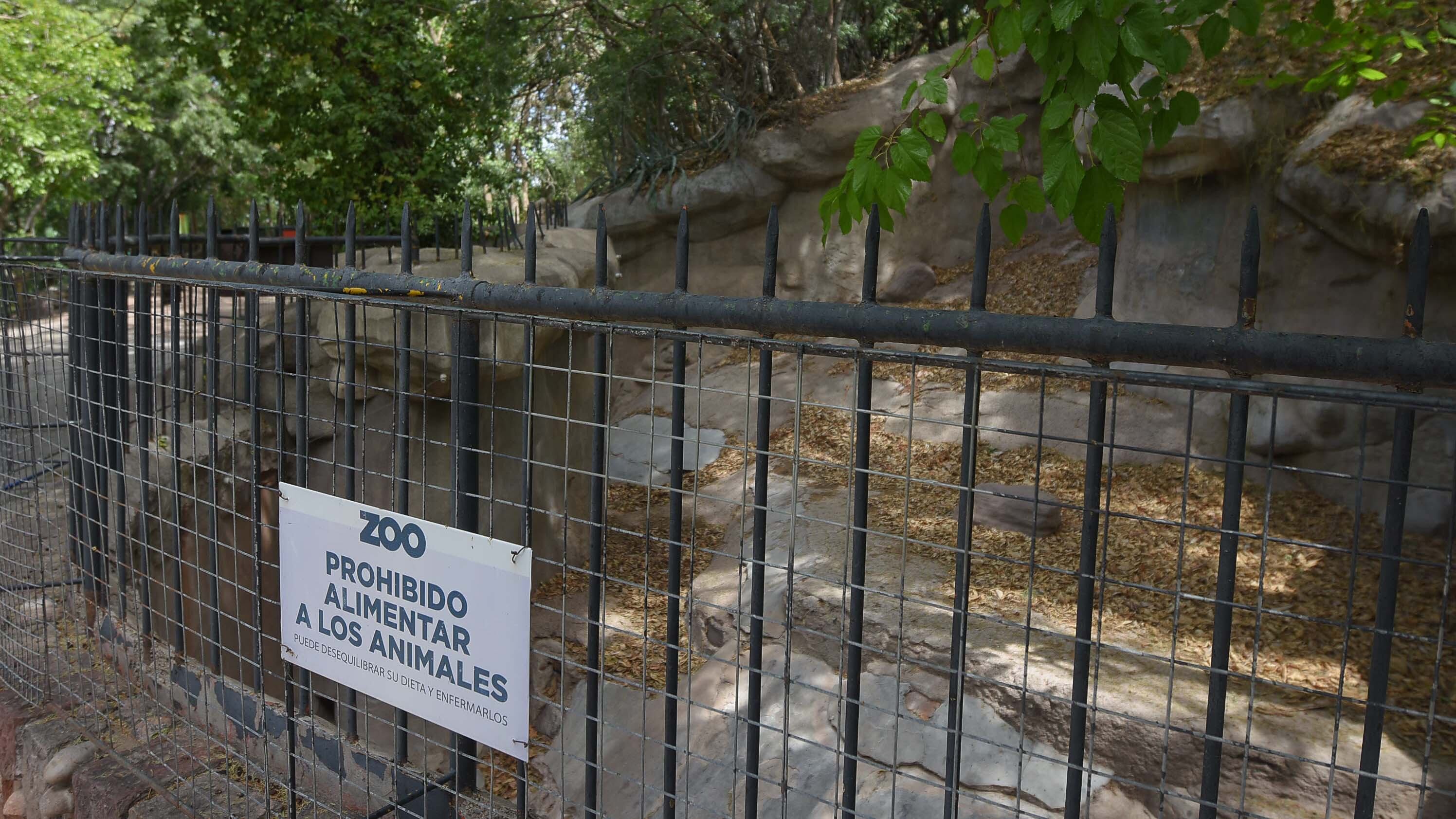 Ecoparque de Mendoza
Antigua fosa del Oso Pardo 
Mientras se esperan las obras en el actual Ecoparque algunos animales continuan en el ex zoo de Mendoza  Foto: Claudio Gutiérrez 
