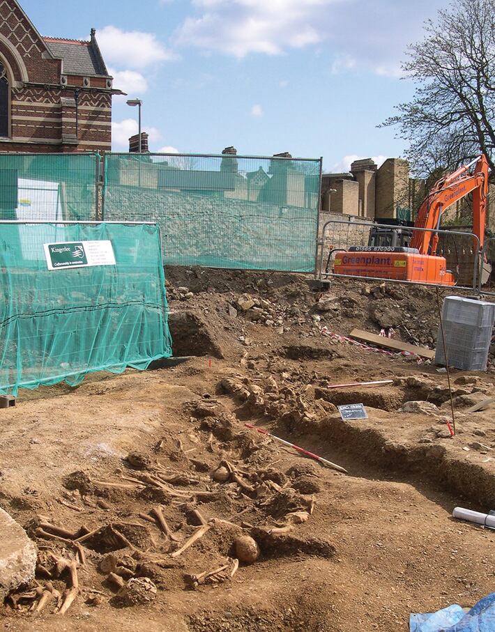 Los esqueletos de más de 35 vikingos hallados Oxford (Inglaterra), uno de los registros de la Masacre de San Bricio. Foto: Thames Valley Archaelogical Services