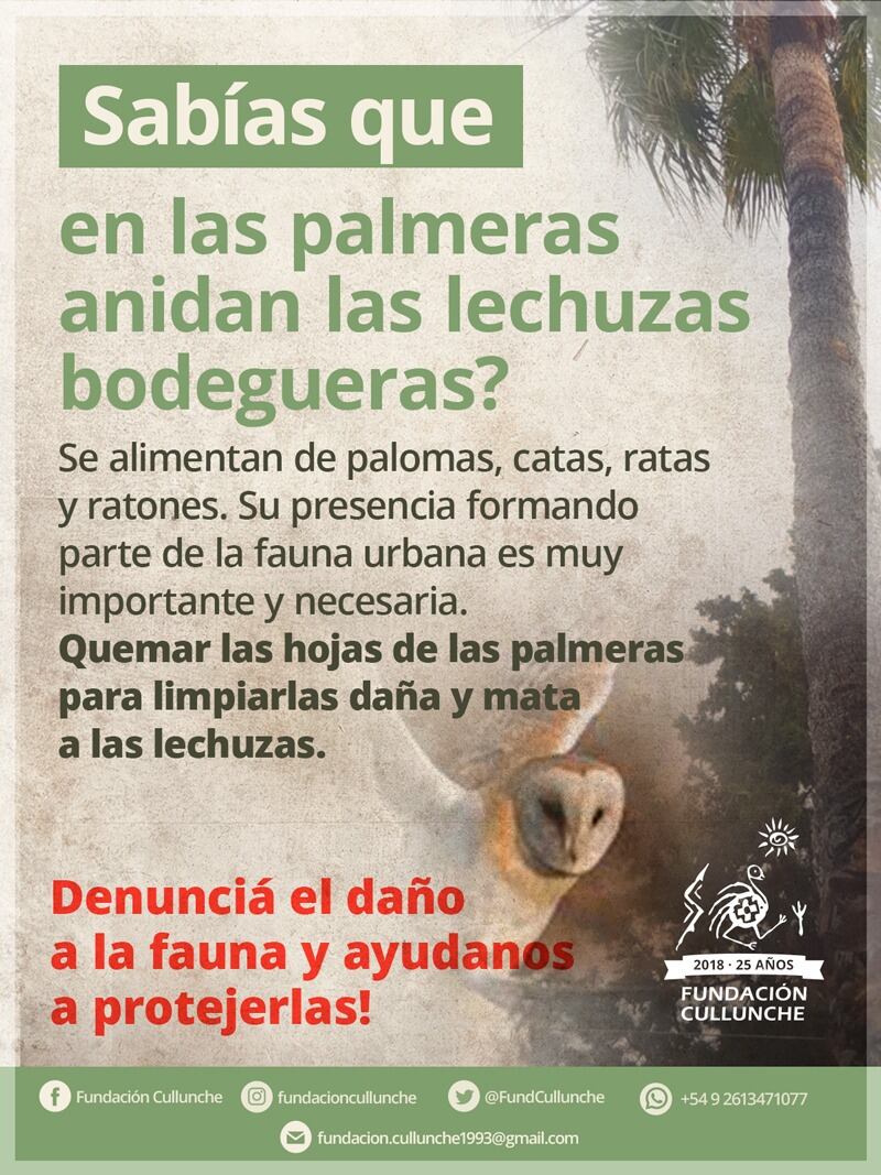 Gentileza Fundación Cullunchen