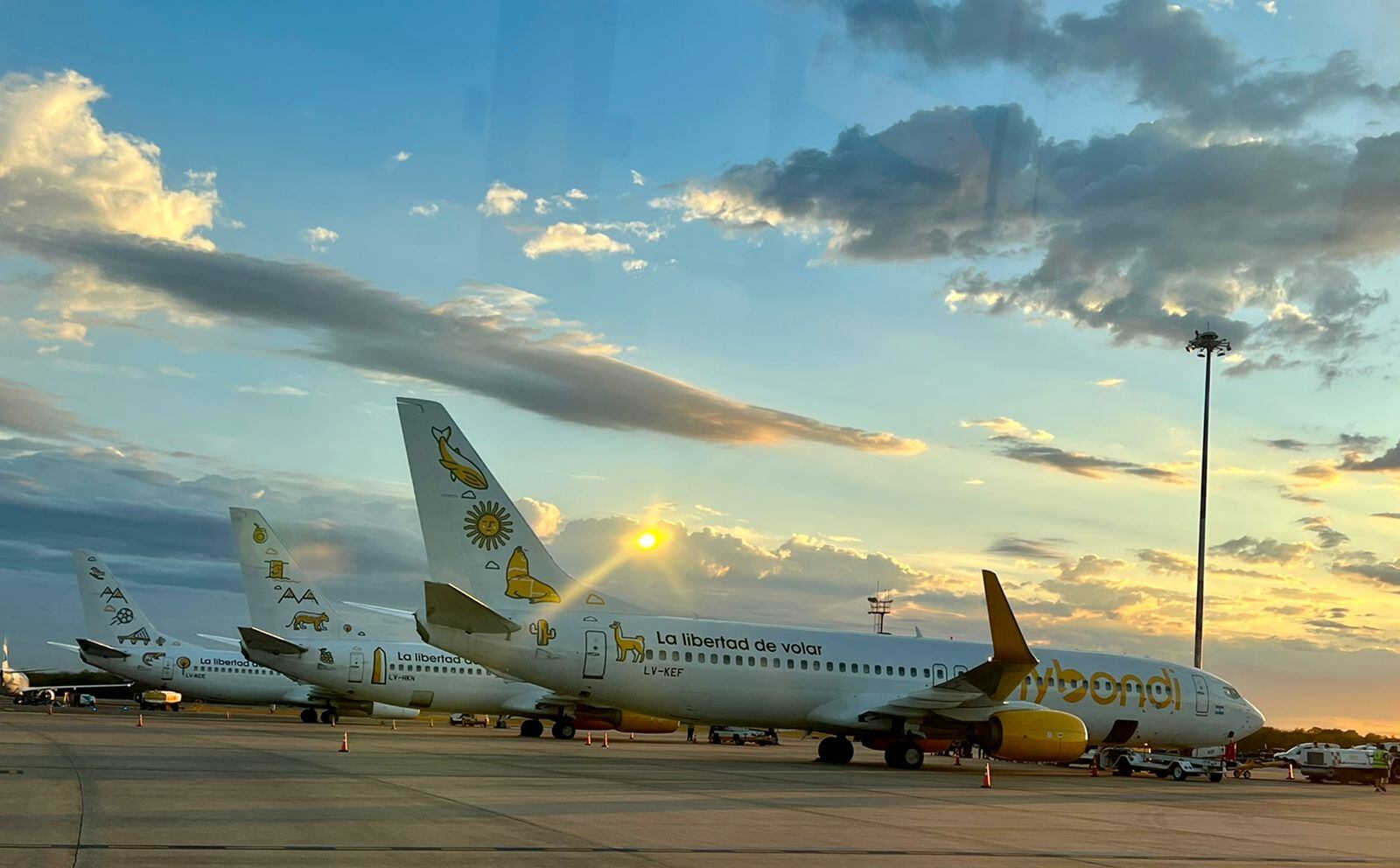 Son dos aeronaves Boeing 737-800 NG.