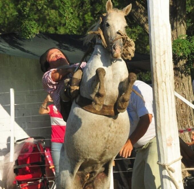 "Pepo", el jinete que es furor en el festival de Jesús María  (Instagram)