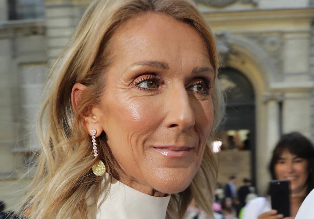 Celine Dion tendrá su película documental. / WEB