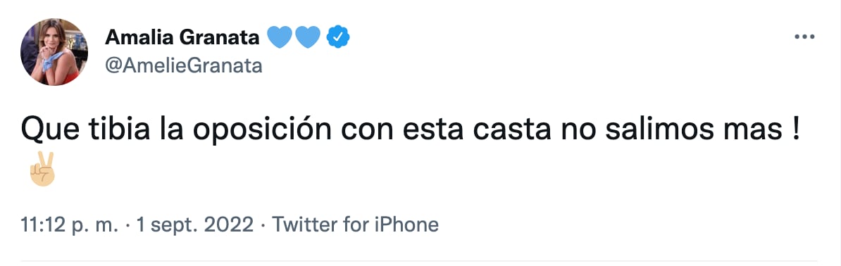 La diputada Amalia Granata publicó varios mensajes polémicos tras conocerse el atentado que sufrió la vicepresidenta Cristina Kirchner.