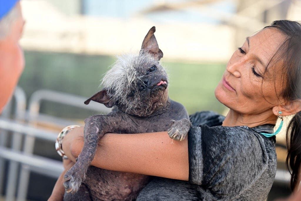 Fue rescatado de un refugio de animales / Gentileza