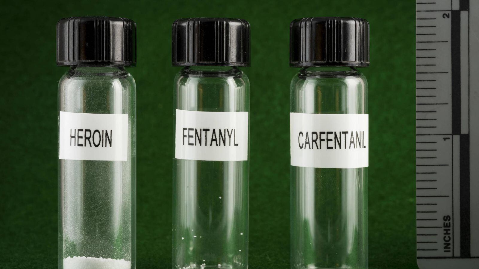 El carfentanilo es una droga que se usa exclusivamente con fines veterinarios y es 10.000 veces más potente que la morfina.