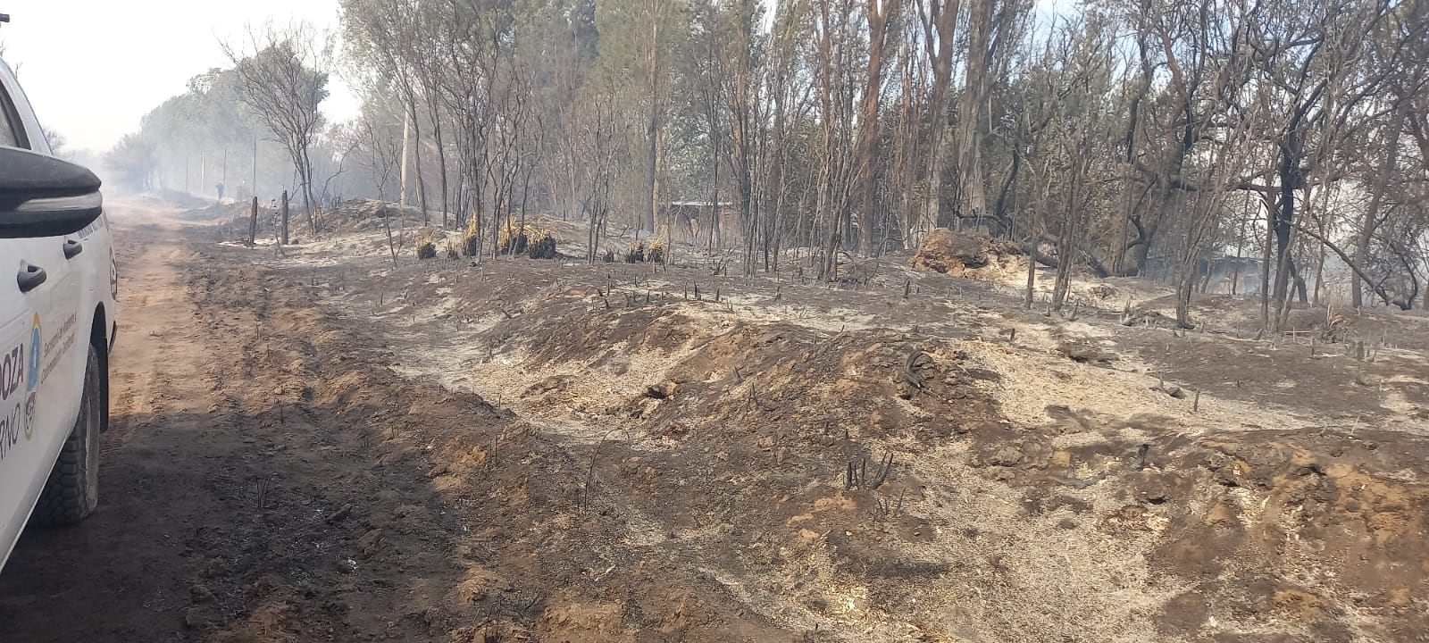 La tierra calcinada tras el incendio.