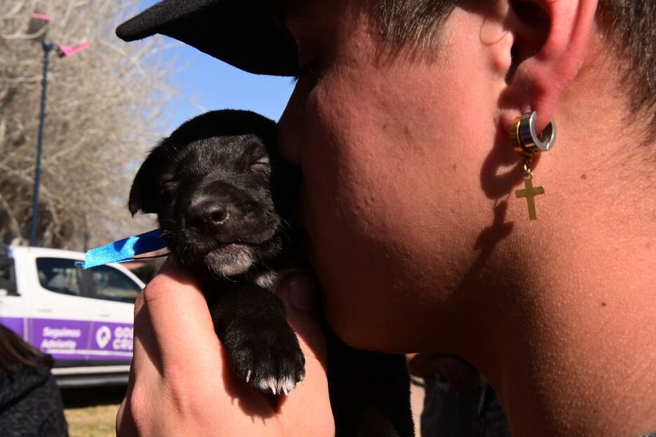 Se trata de un espacio donde pueden cargar los datos, fotos y características de los animalitos en adopción.