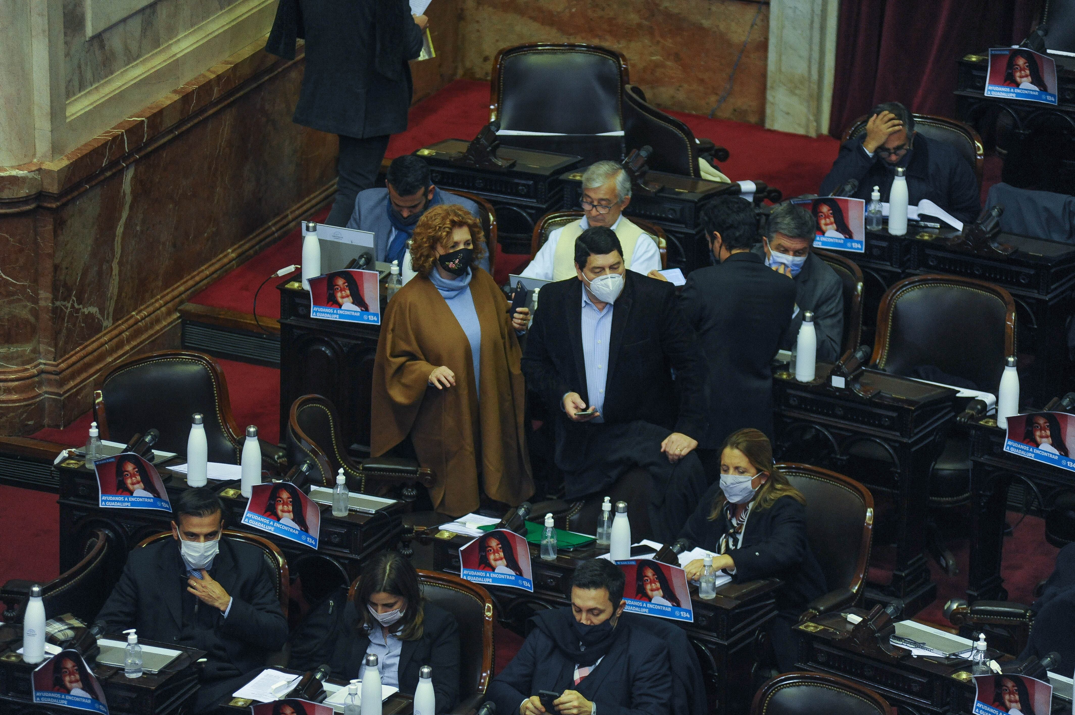 Sesión en la cámara de Diputados. - Foto Federico Lopez Claro