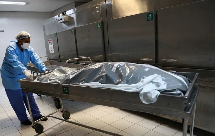 Enya Egbe, era uno de los alumnos que debían disecar cadáveres en la morgue de la universidad.