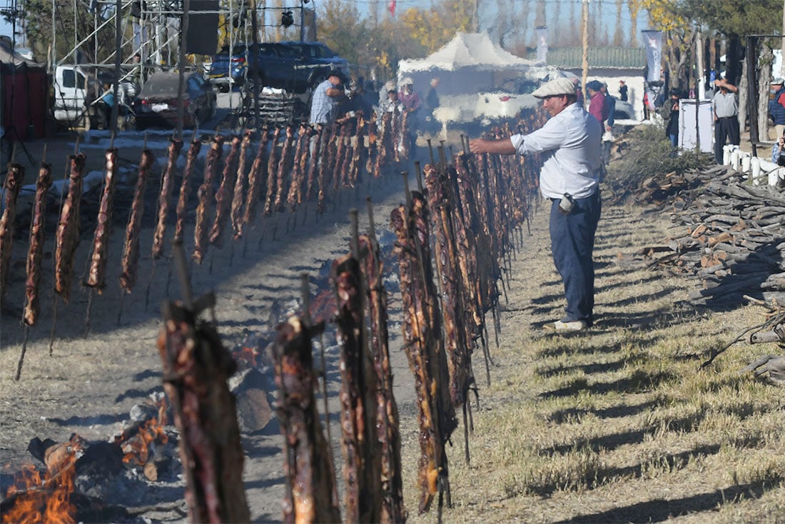 41° Fiesta Nacional de la Ganadería de Zonas Áridas en General Alvear

Foto: Ignacio Blanco / Los Andes