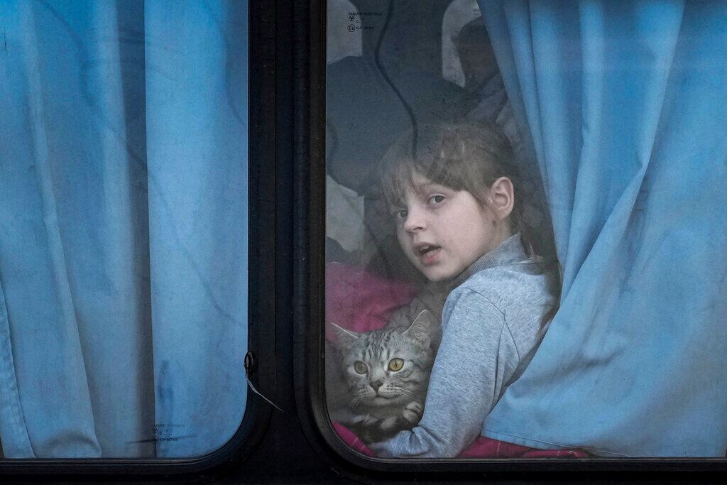 Una niña sostiene un gato mientras se asoma por la ventana de un autobús en un centro de refugiados en Zaporizhia, Ucrania, el viernes 25 de marzo de 2022. Más de 5 millones de refugiados han huido de Ucrania desde que inició la guerra de Rusia, informó la agencia de refugiados de la ONU el 20 de abril de 2022. Es la mayor crisis de refugiados en Europa desde la Segunda Guerra Mundial. (AP Foto/Evgeniy Maloletka, File)