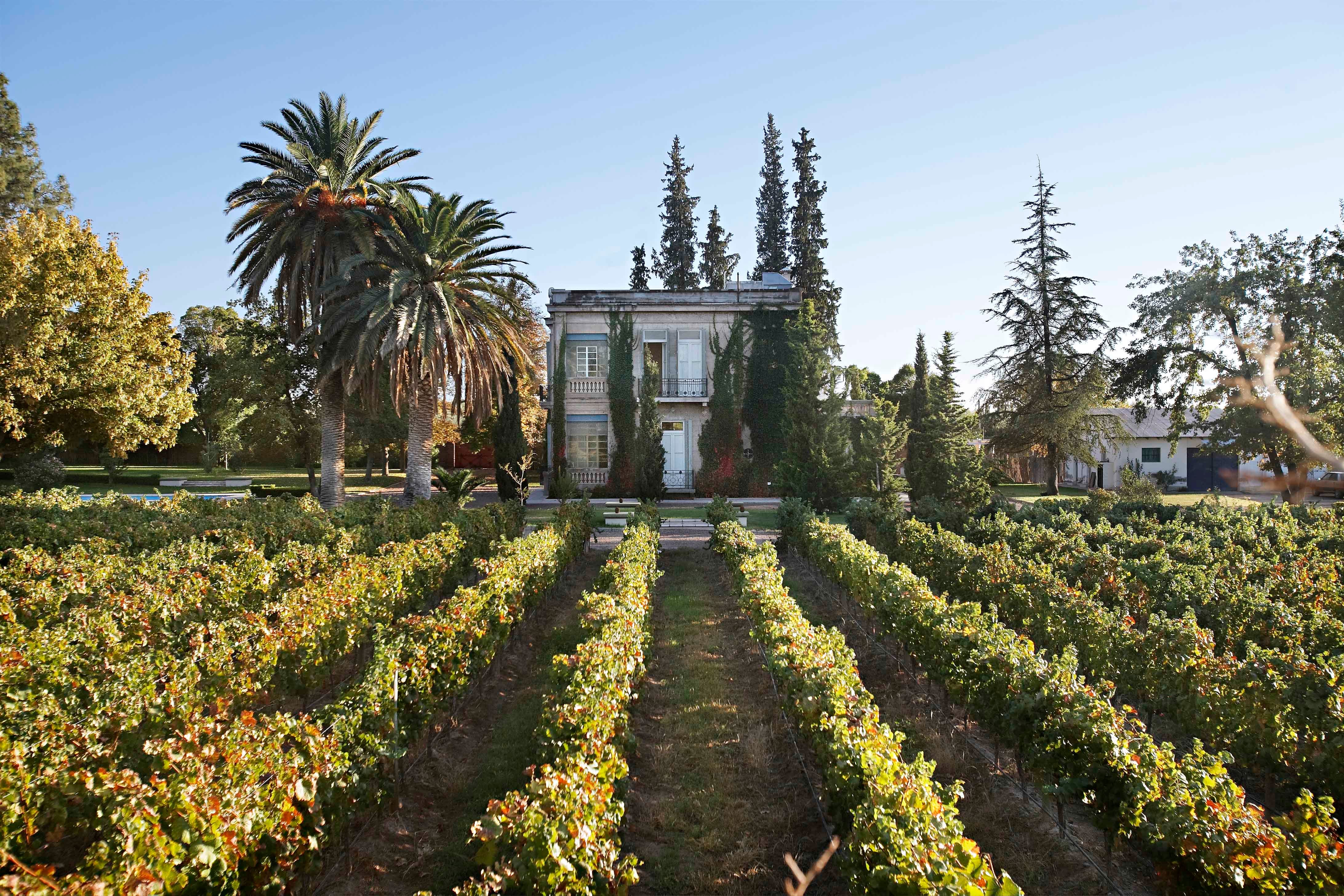 Finca El Paraíso será por primera vez abierta al público. - Gentileza