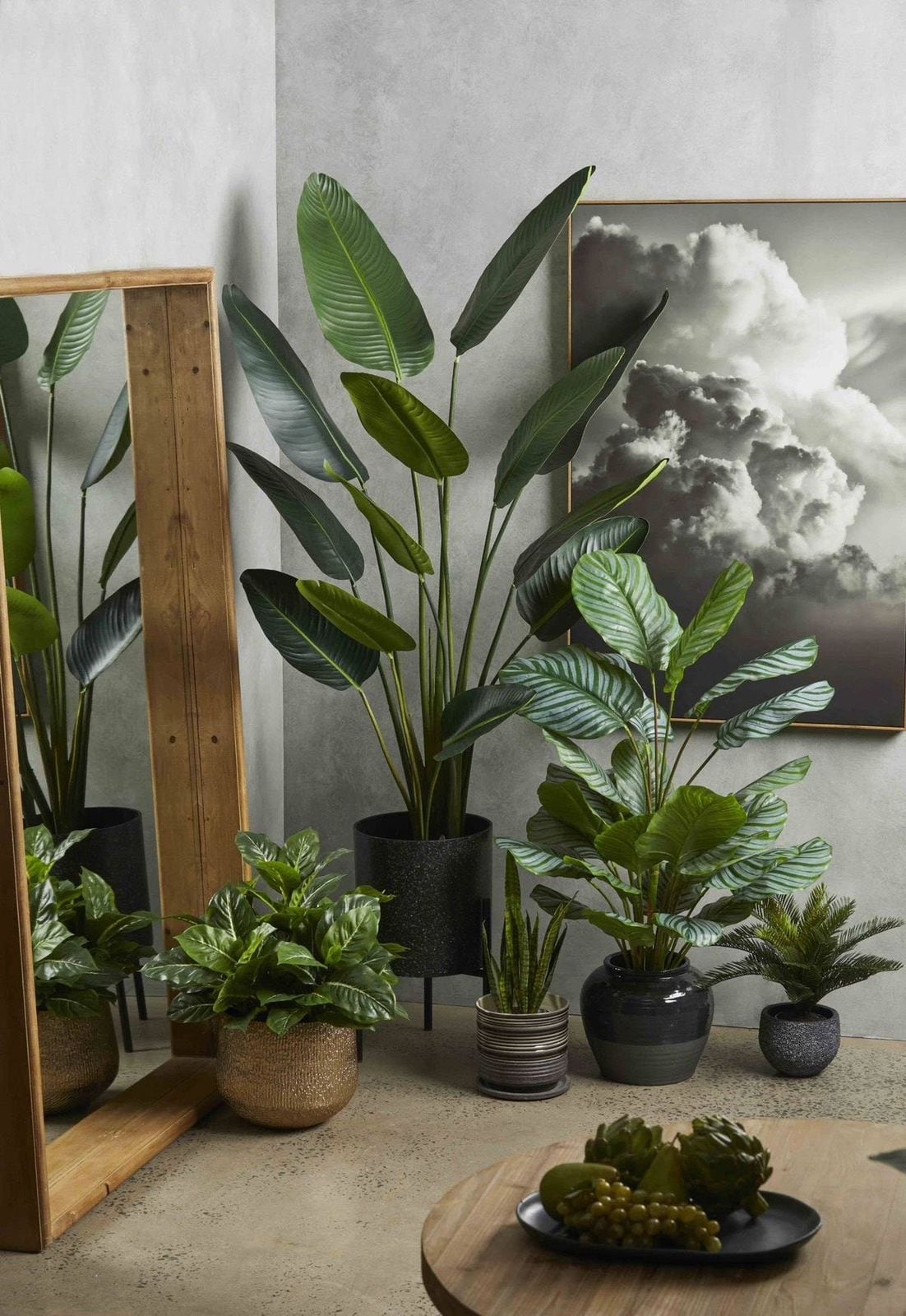 Las plantas no solo son bellísimas, sino que también dan mucha vida al hogar y demuestran una intención de decoración consciente y sofisticada.
Foto: Pinterest