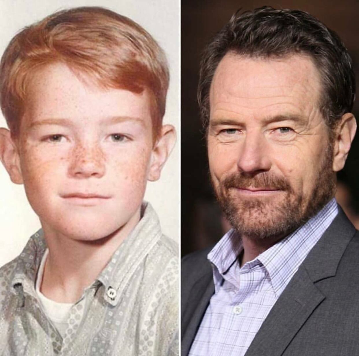 Bryan Cranston.