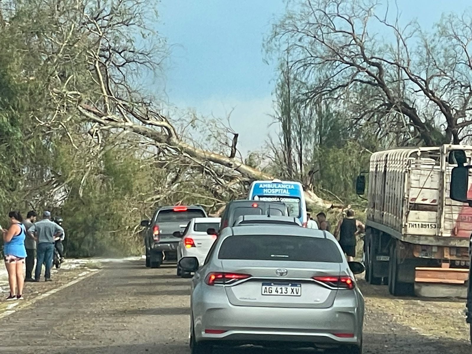 Una feroz tormenta de granizo provocó daños en Real del Padre. Foto gentileza