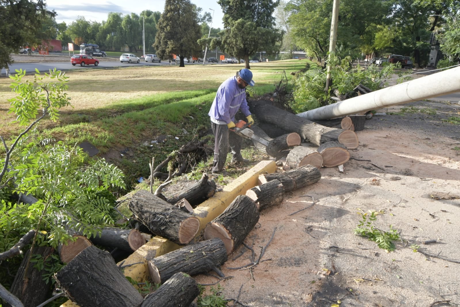 Techos derrumbados, árboles caídos y más de 130 intervenciones: las consecuencias de la tormenta. Foto: Orlando Pelichotti / Los Andes.