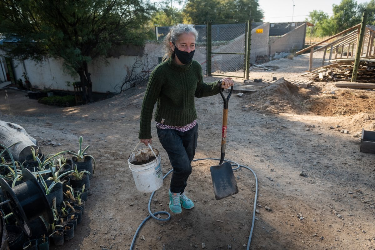 La organización se dedica a plantar especies nativas en barrios carenciados de Las Heras.