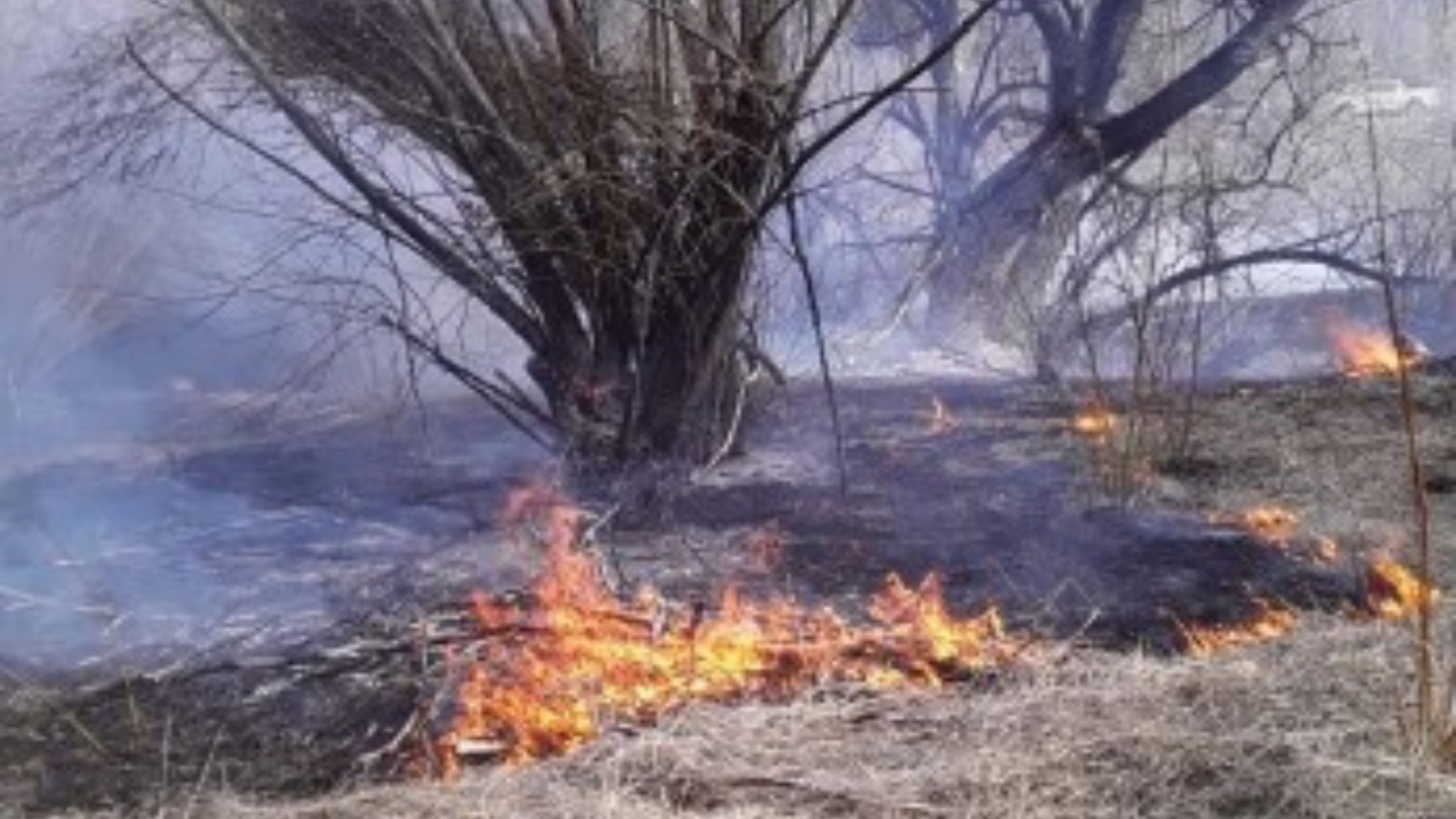 Los focos de incendio próximos a Trevelin fueron controlados.