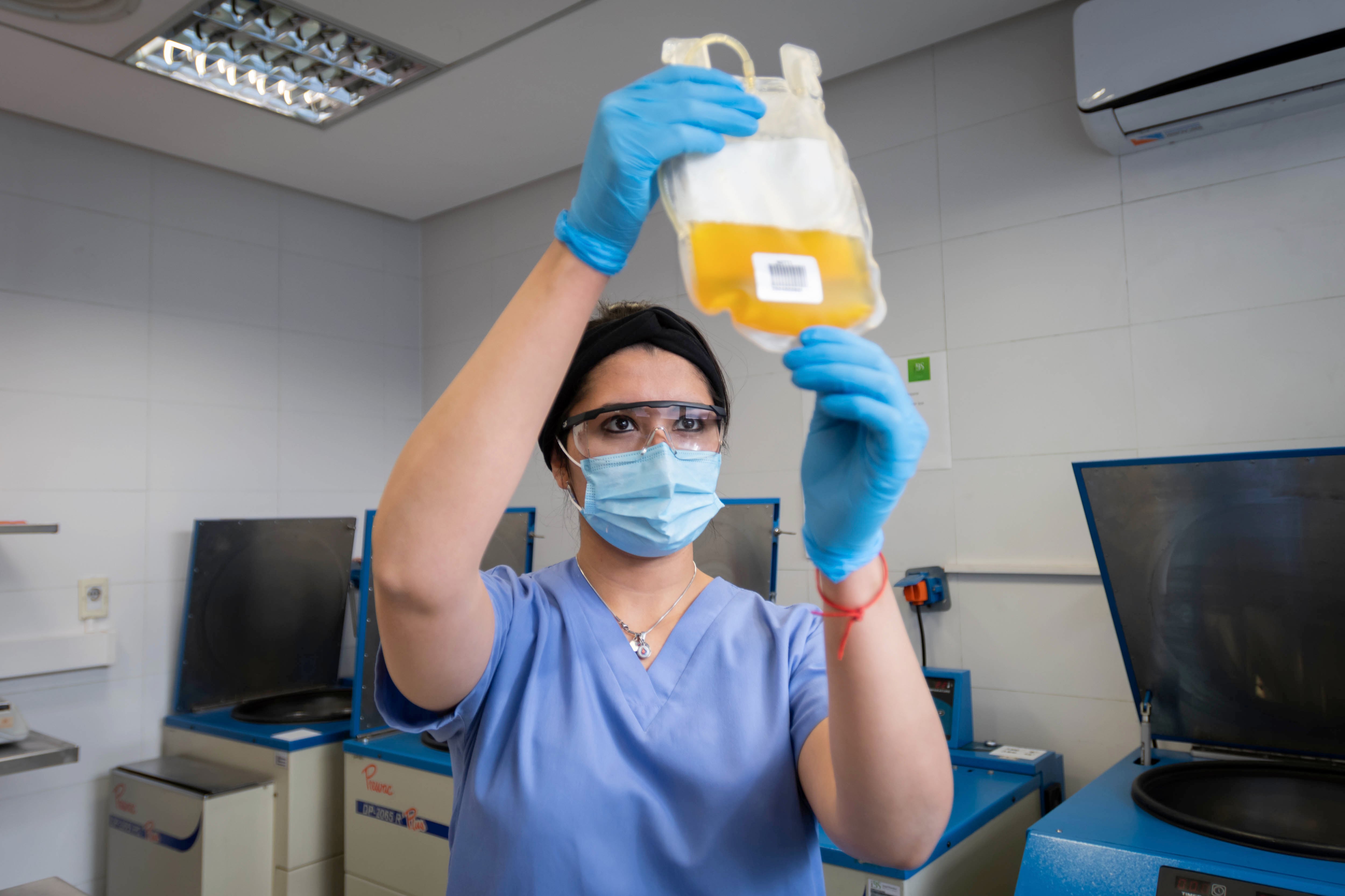 Procedimientos para la extracción de Plasma de pacientes que tuvieron Covid-19