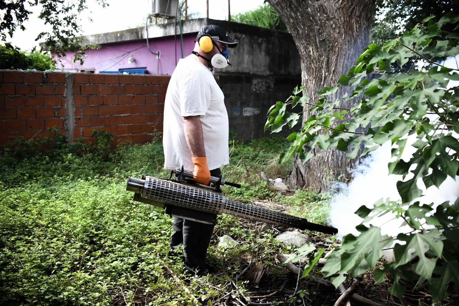 Operativo preventivo contra el dengue