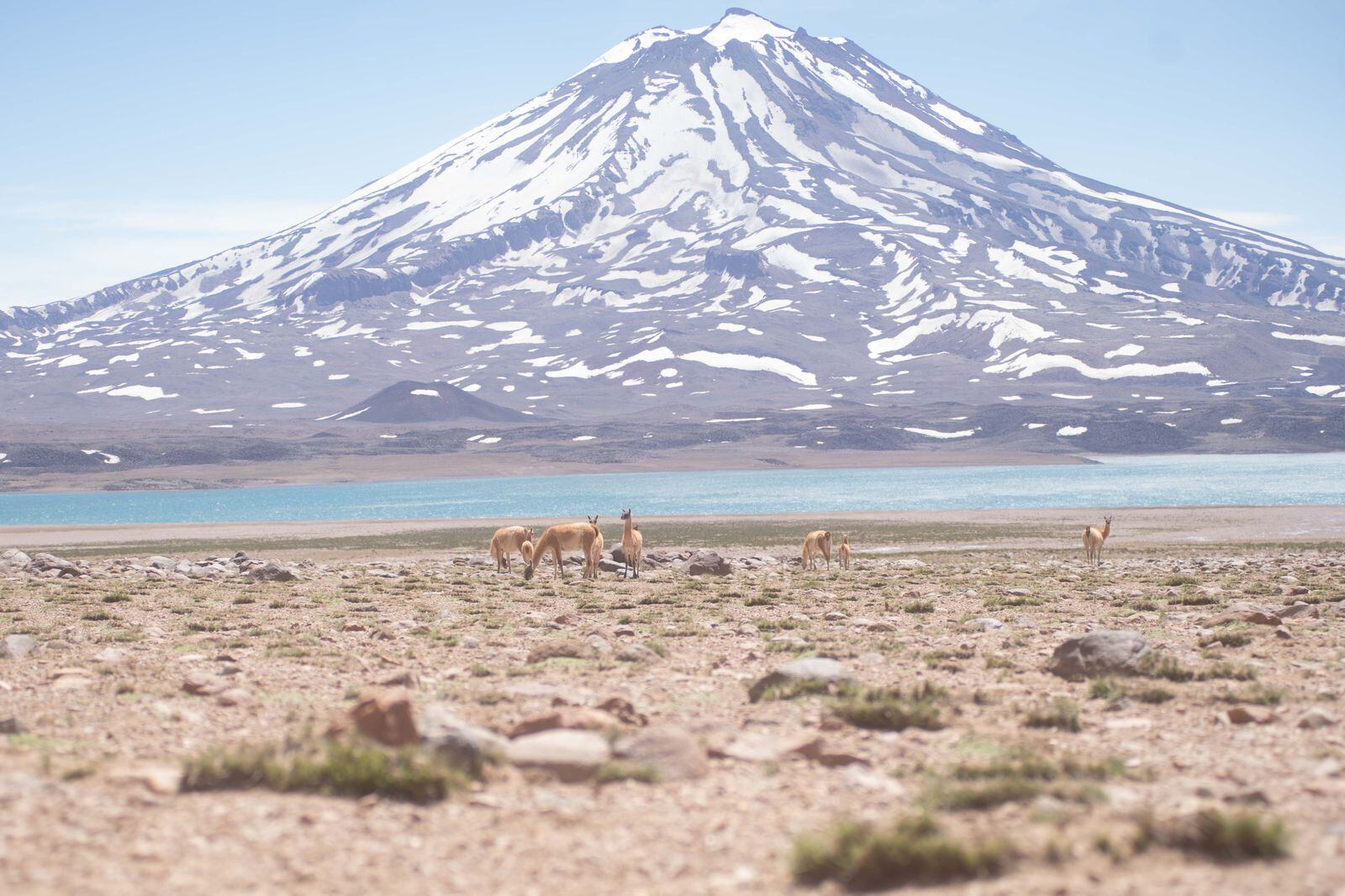 Laguna del Diamante: el sábado 20 inaugura la temporada 2023/24. Foto: Prensa Gob. de Mendoza