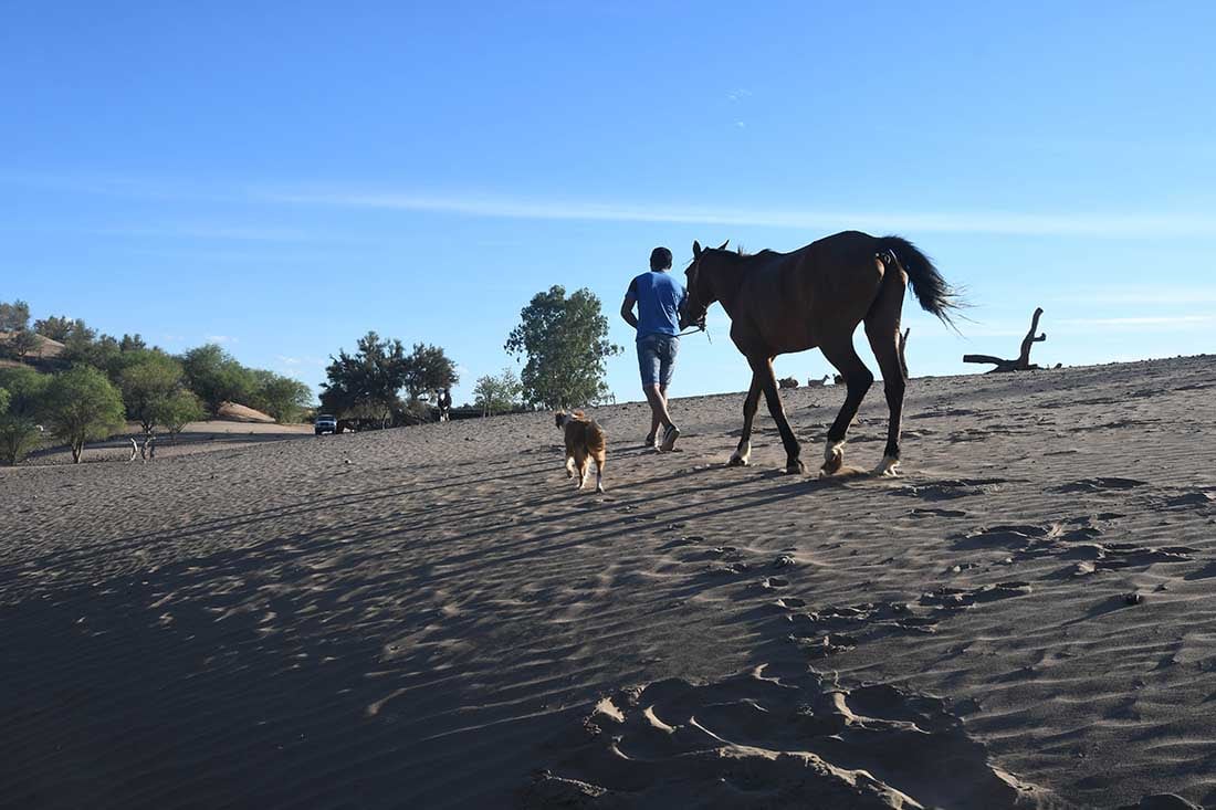 Desde el mes de Mayo del 2021 no llueve, y los animales mueren de sed y tambien de hambre al no haber pasto por la escases de lluvia en la zona.
En el puesto del paraje El cavadito, están  preocupados por la sequía y la mortandad de animales. Foto: José Gutierrez