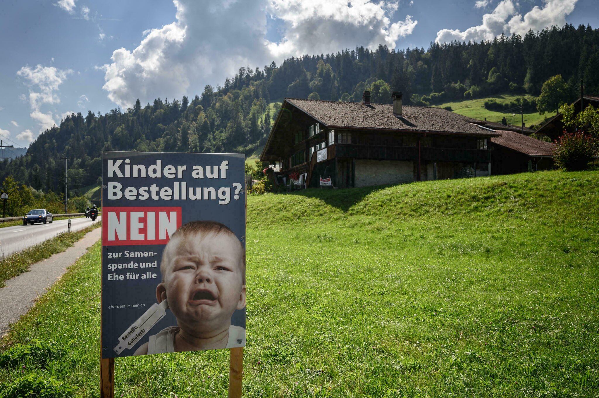 “¿Bebés por encargo?”, la campaña opositora al matrimonio igualitario en Suiza - Gentileza: @EduardoFRub (Twitter) 