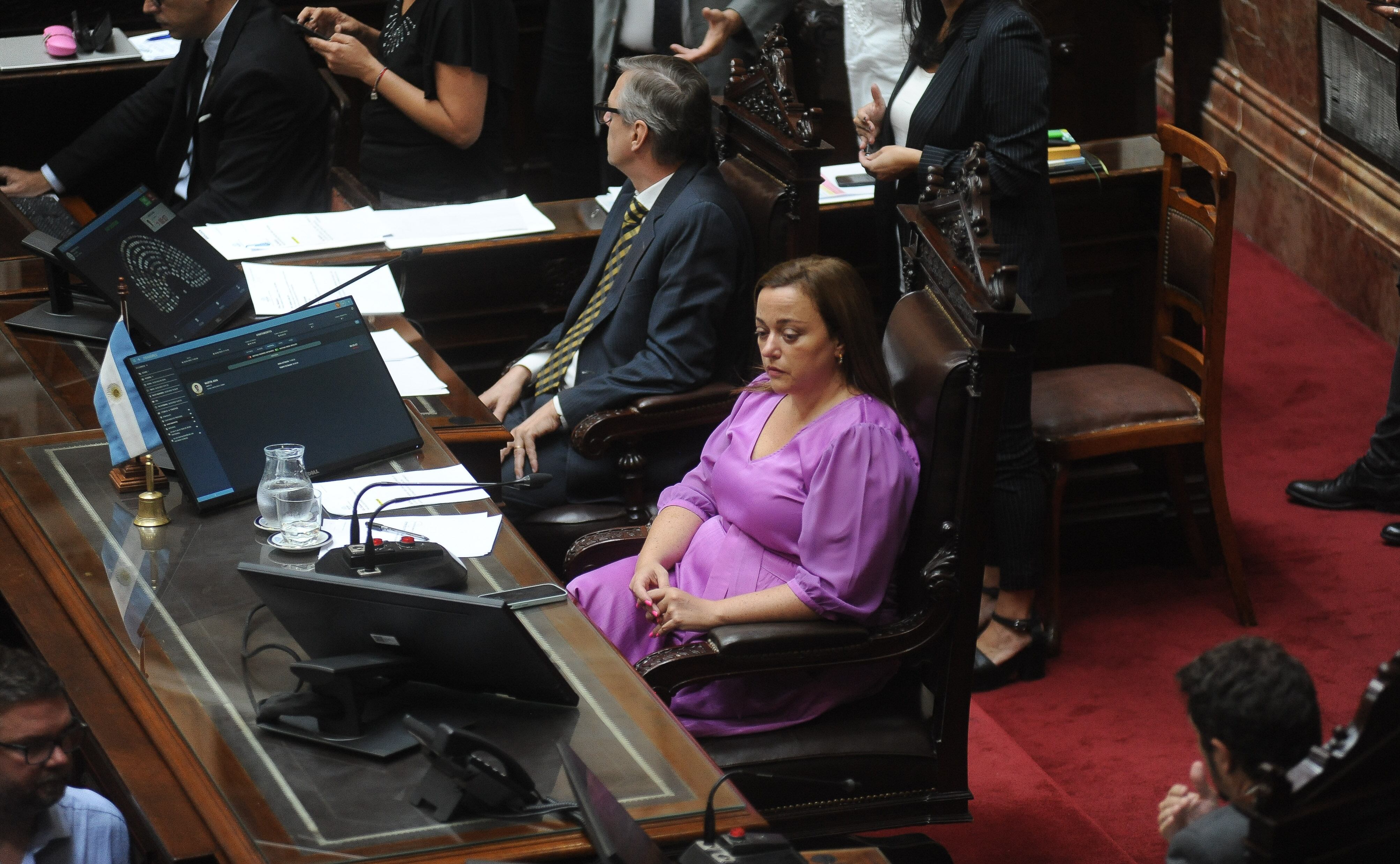 La presidenta de la Cámara de Diputados, Cecilia Moreau (Foto: Federico López Claro)