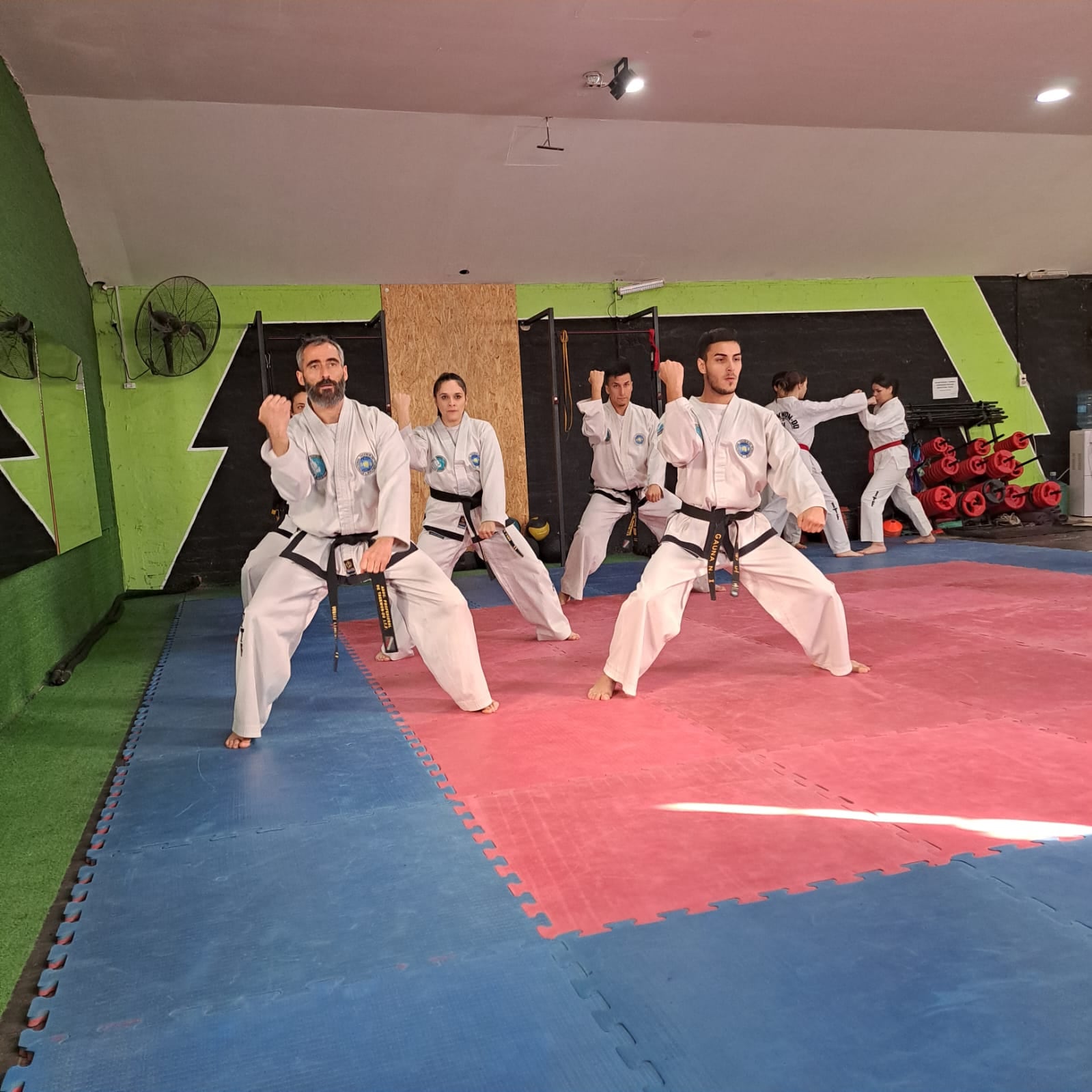 La Asociación Profesional de Taekwondo de Mendoza invita a festejar la 10° Edición del Torneo Copa Provincia de Mendoza, en el Polimeni. / Gentileza.