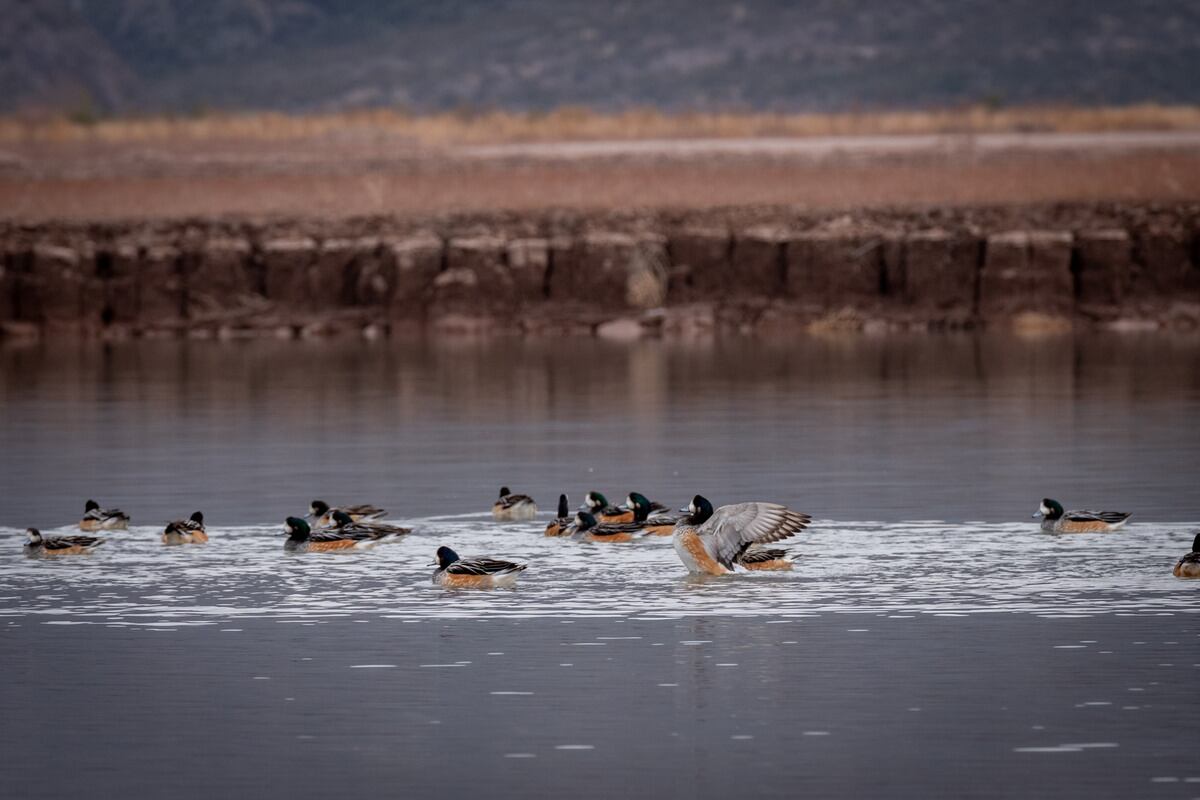 Foto: Ignacio Blanco / Los Andes