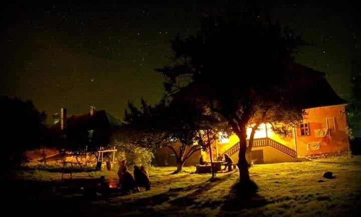 "¡Siempre listos!": la Asociación Scouts de Argentina en Mendoza cumple 25 años. Foto: Gentileza Lourdes Sánchez.