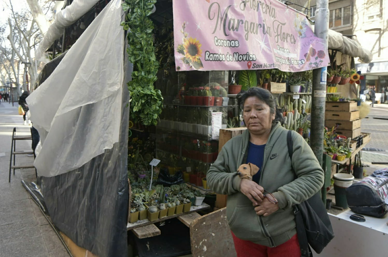 Robaron y causaron destrozos en el local de Margarita Flores. Foto: Orlando Pelichotti / Los Andes