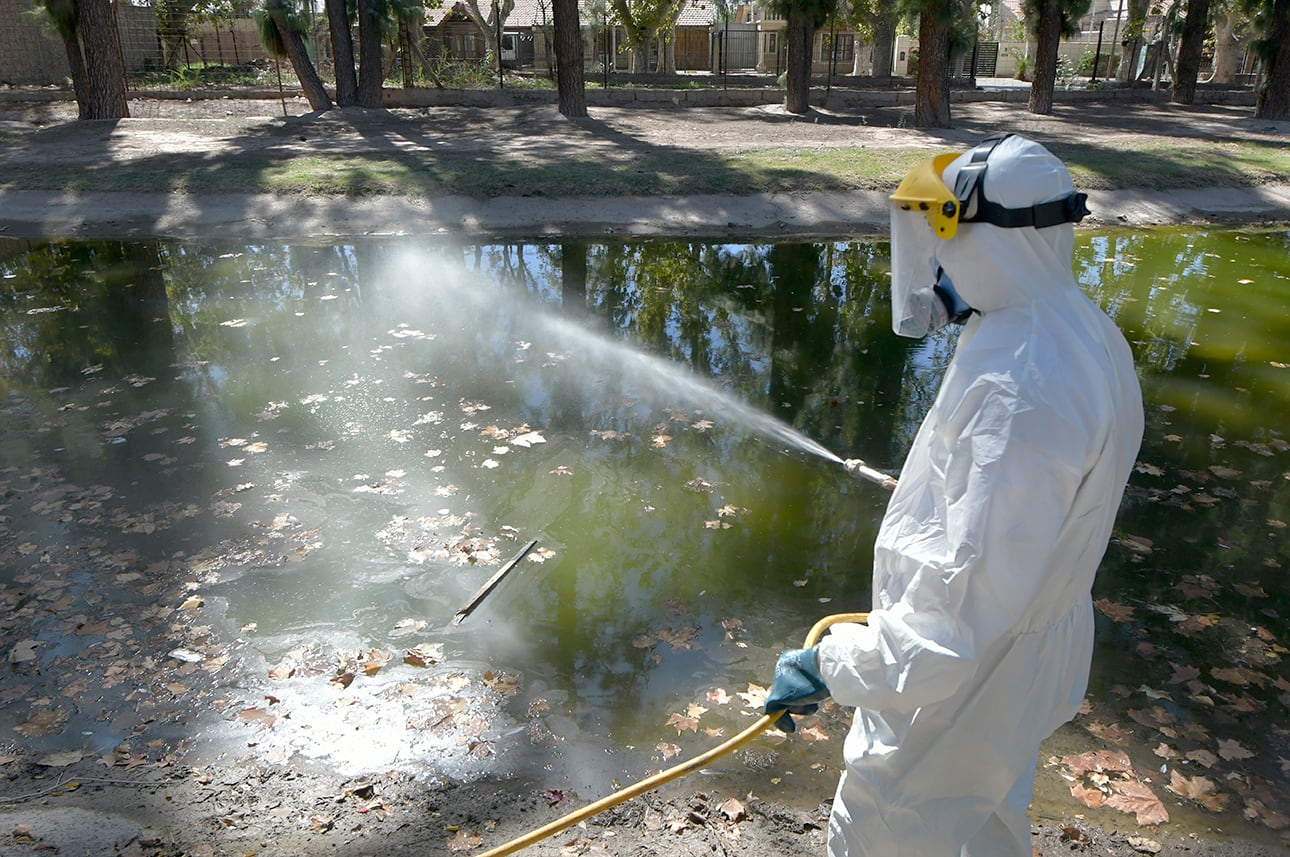 Personal de Zoonosis de Guaymallén desinfectando para evitar la propagación del mosquito Dengue  en el lago de Bandera de los Andes y Urquiza
El dengue, es una enfermedad viral transmitida por la picadura del mosquito del género Aedes, principalmente por Aedes aegypti.

Foto : Orlando Pelichotti
