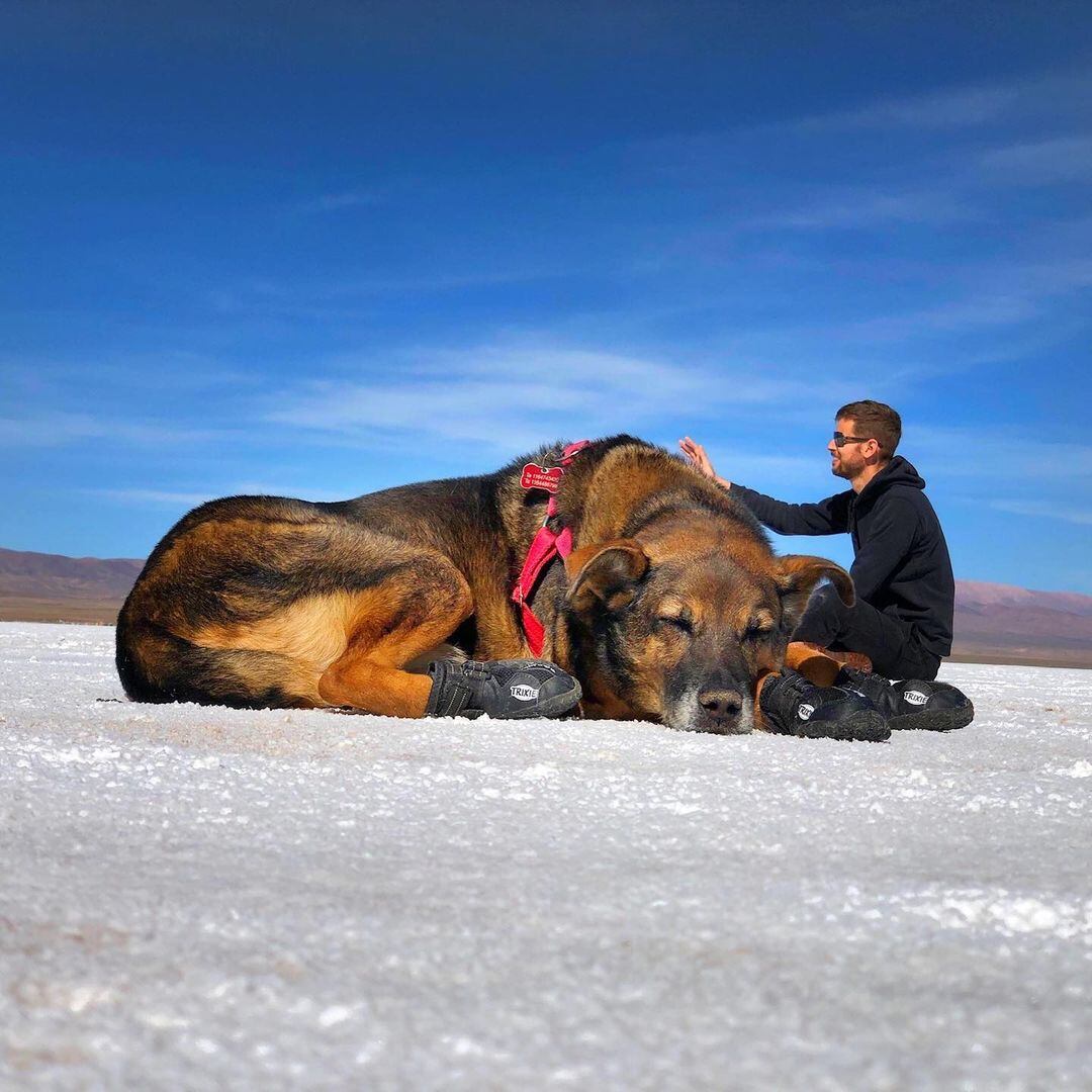 Mendoza es uno de los destinos turísticos con más alojamientos “pet friendly” de Argentina. Foto: Gentileza Guido y Celeste (Perros Viajeros Argentina)