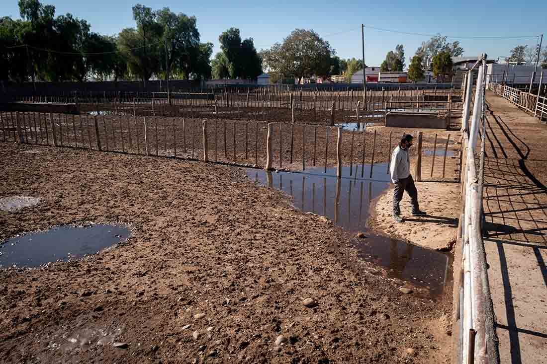 Mendoza 25 de mayo de 2021 Matadero y Frigorífico San Javier 
Prohibición de exportar carne por 30 días 
Al matadero no esta llegando ganado en pie y los corrales estan vacios
El gobierno nacional tomo esta medida para bajar el precio de la carne para consumo interno, esta medida llevo a que productores agrícolas realizaran un cese de comercialización de ganado y comience a faltar carne.