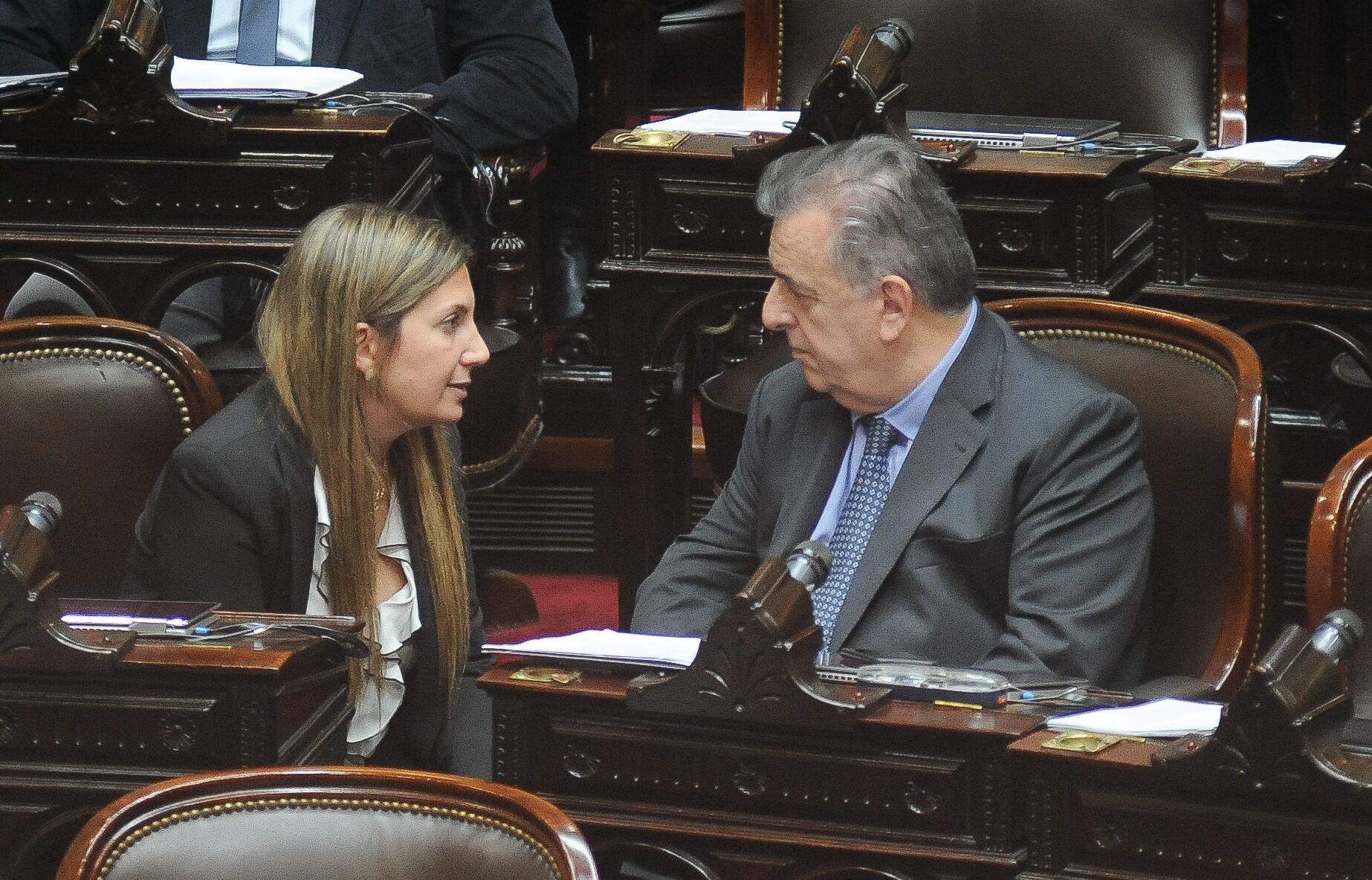 Los diputados Mario Negri y Silvia Lospenatto. Foto: Federico Lopez Claro