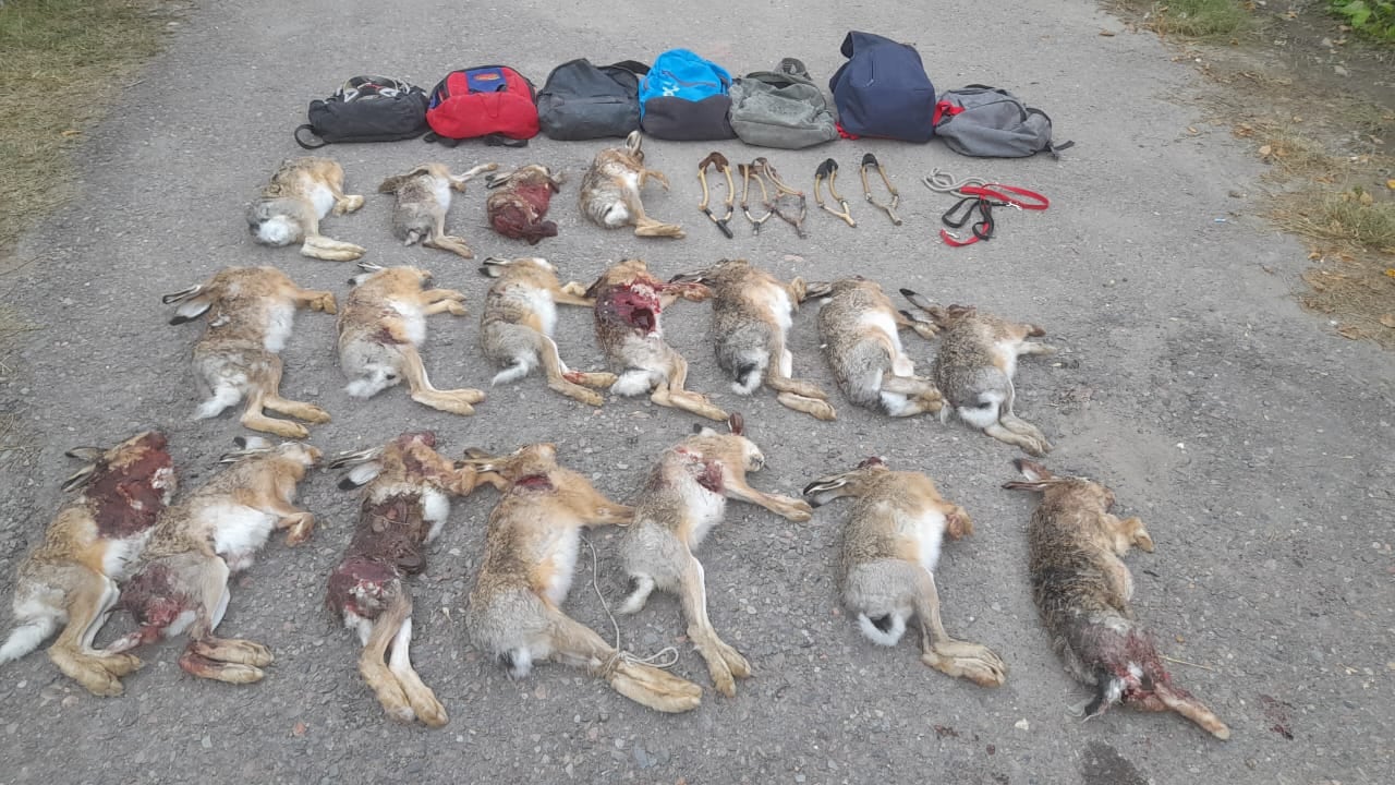 Policía Rural: los guardianes en medio de la nada que combaten a cazadores furtivos y a ladrones de ganado. Foto: Gentileza