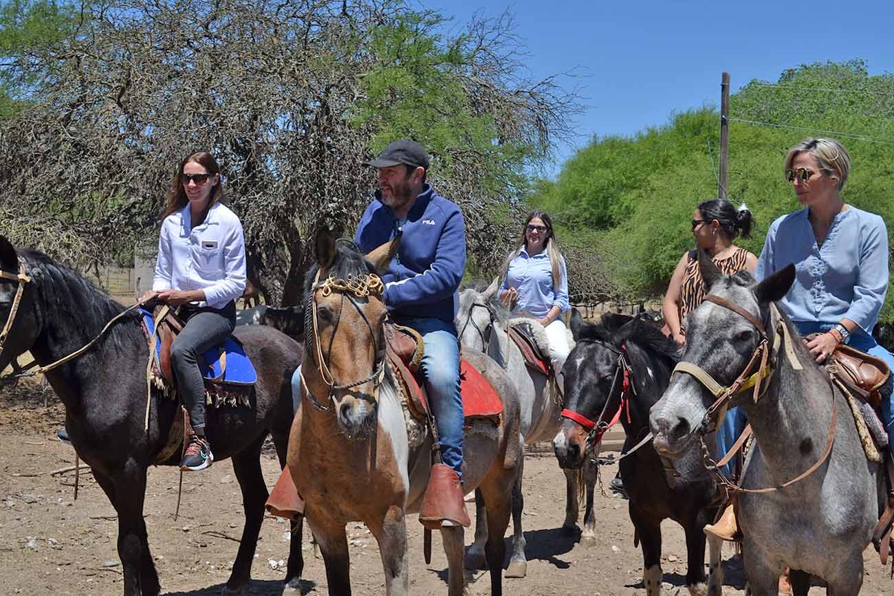 Un peligroso virus afecta a los caballos de varias provincias.