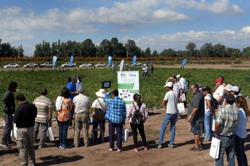 
Nuevas zonas. Productores nucleados aseguraron que ya se está trabajando sobre nuevas zonas como La Rioja para el desarrollo de la producción. | Orlando Pelichotti/ Los Andes
   