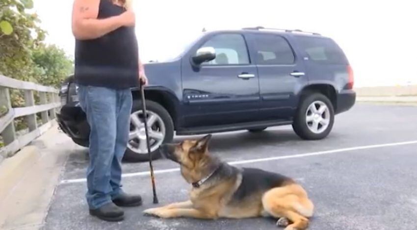 
El perro luego de ser rescatado. 
