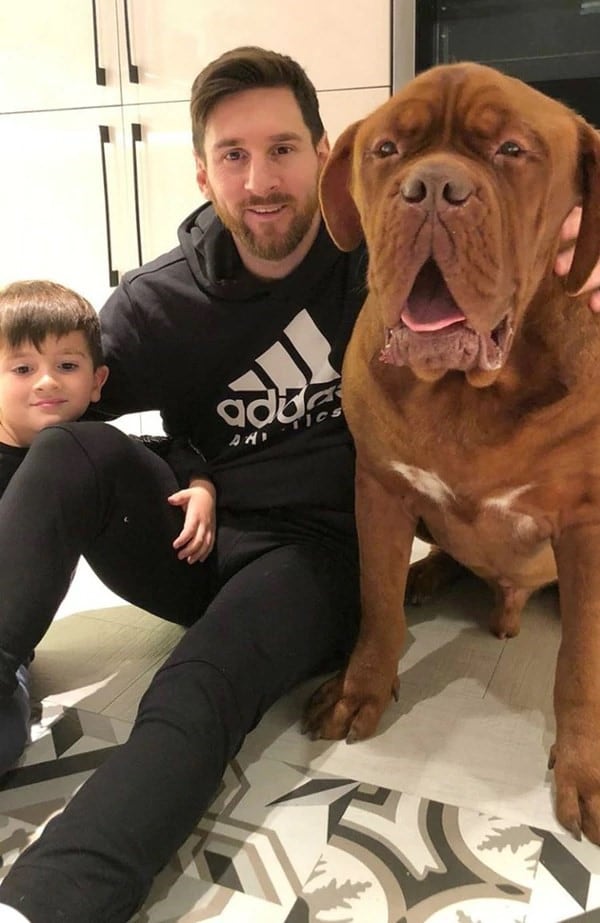 Leo Messi y su perro provocaron ingeniosas cargadas.