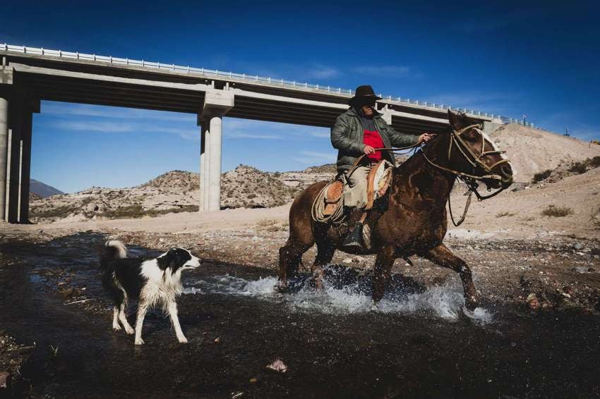 
Ignacio Blanco / 15 de julio | Inauguración de tramo de la ruta 40 que une Pareditas con el Sosneado. David Salinas, puestero de la zona pasa con su caballo por debajo del nuevo puente del Arroyo Hondo.
   