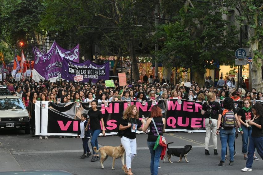 
    Masiva marcha en Mendoza. / Gustavo Rogé
   