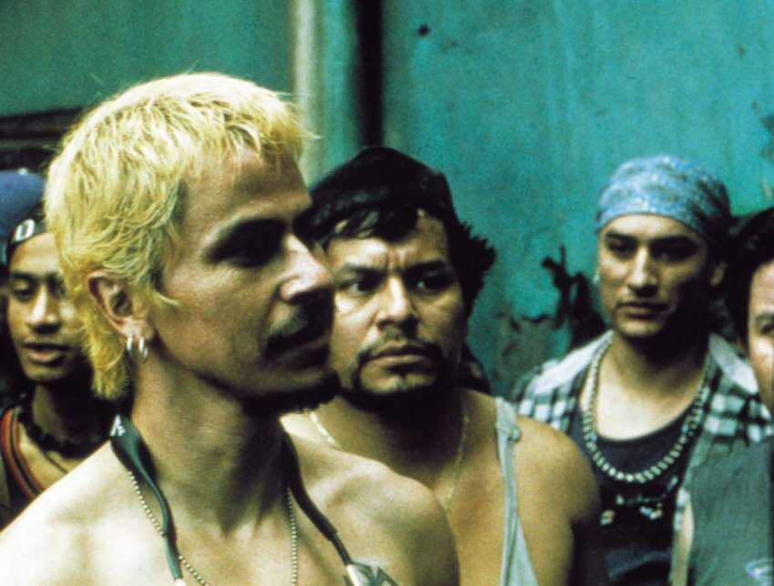 
Amores Perros. Un filme señero de Alejandro González Iñárritu que está basado en el texto de Guillermo Arriaga . 
