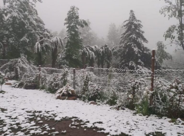 Nieve en Mendoza este 2 de noviembre (Gentileza)