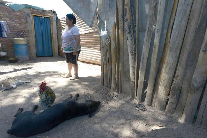 
Lo básico. Chapas, maderas y pisos de tierra son usuales.  | Marcos García / Los Andes
   