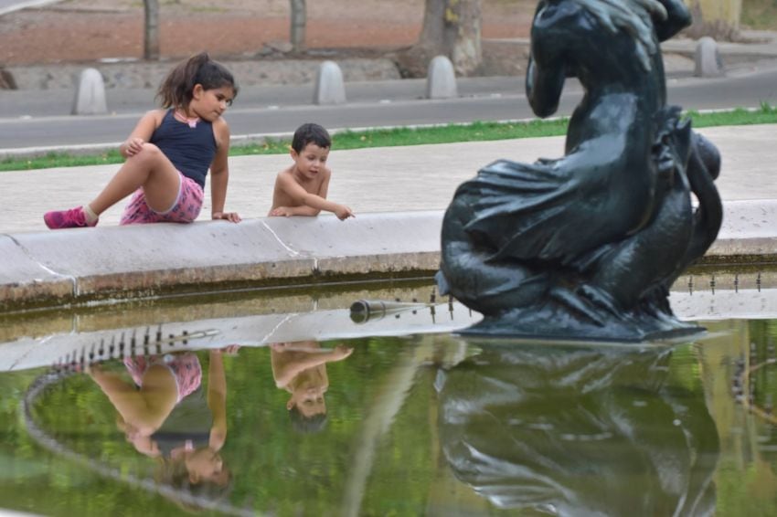 
    Foto: Diego Parés / Los Andes
   