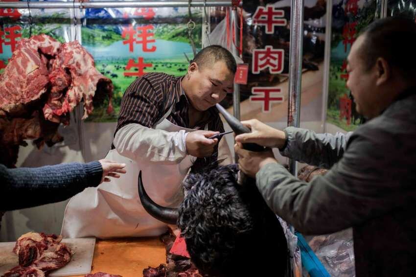 
El mercado de Wuhan: animales salvajes sacrificados. | AFP
   