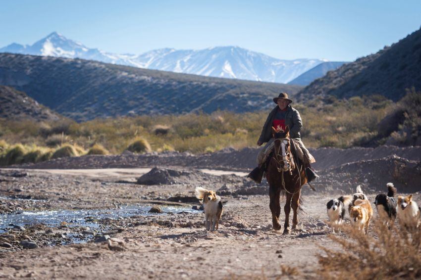 
    Ignacio Blanco / Los Andes
   